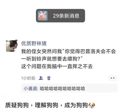 这是一张聊天界面截图，顶部显示“29条新消息”通知，配有粉色兔子耳朵小猪头像。聊天列表中显示联系人“优质野林猪”（头像为一只张嘴的猫咪）发送的消息：“我的侄女突然问我‘你觉得巴普洛夫会不会一听到铃声就想喂狗？’这个问题在我脑中一直挥之不去”，下方有联系人“小邋遢”的回复“哈哈哈哈哈哈哈哈哈哈”。图片底部有一行总结性文字“质疑狗狗，理解狗狗，成为狗狗”并配狗头吐舌表情。

图片通过侄女童真的提问，对巴普洛夫经典条件反射实验进行幽默反转，将实验中狗狗对铃声的条件反射转移到巴普洛夫本人身上，制造出荒诞又搞笑的效果。底部文字则化用网络流行句式“质疑XX，理解XX，成为XX”，进一步强化了搞笑氛围。