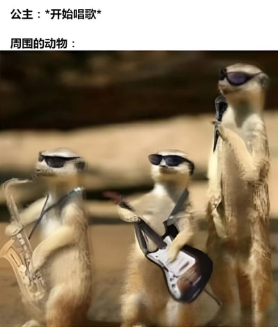 图片上方配有文字“公主：*开始唱歌* 周围的动物：”，下方是三只戴着墨镜的狐獴，它们拟人化地组成了一个小乐队。左边的狐獴在吹萨克斯，中间的狐獴在弹电吉他，右边的狐獴则拿着麦克风，仿佛在为唱歌的公主伴奏，整体画面幽默有趣。