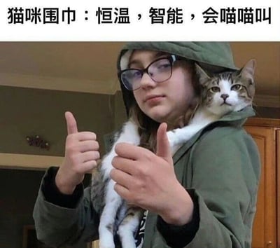 图片中一位戴着眼镜的人穿着绿色连帽衫，双手竖起大拇指，一只猫舒适地待在其 hood 中并探出头，表情平静。图片顶部配有文字“猫咪围巾：恒温，智能，会喵喵叫”，以幽默的方式将猫比作具有恒温、智能、会喵喵叫功能的“围巾”，营造出搞笑可爱的氛围。