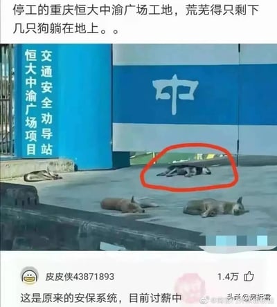 这张图片呈现了停工状态下的重庆恒大中渝广场项目工地入口场景，地面上躺着几只流浪狗，其中一只哈士奇被红色圆圈标注出来。图片上方配文描述工地荒芜的状态，仅剩下几只狗；下方的热门评论则以玩梗的方式，将这些狗调侃为工地原本的安保系统，现在正处于“讨薪中”，用幽默的语气映射了该项目停工后可能存在的薪资拖欠相关问题，是网友结合社会热点创作的调侃内容。