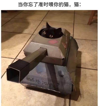 图片展示了一只黑猫从自制的纸板坦克中探出头的场景。坦克主体为灰色硬纸板制作，带有黑色炮管，侧面写有英文"HOWS MY DRIVING?"字样，顶部有一个圆形洞口，黑猫正从洞口露出脑袋，双眼瞪得溜圆，眼神中透着警惕和一丝不满。图片上方配有文字："当你忘了准时喂你的猫，猫："，通过将猫咪拟人化，幽默地表现出猫咪因主人忘记喂食而产生的"攻击性"姿态，营造出搞笑又可爱的氛围。