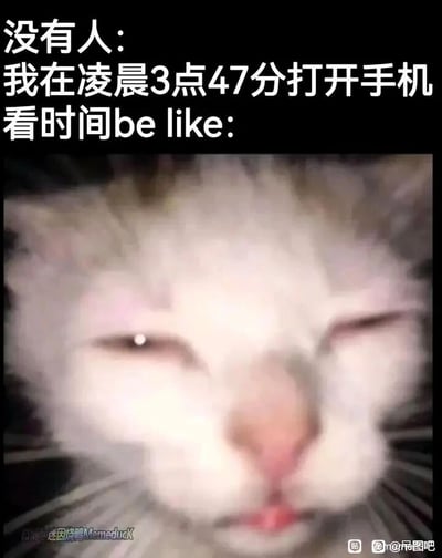 这是一张网络表情包，上方配有文字“没有人：我在凌晨3点47分打开手机看时间be like:”，下方是一张近距离拍摄的猫咪图片，猫咪眼睛半睁，眼神疲惫涣散，表情带着无奈与崩溃感，精准还原了当代人熬夜、失眠后，在凌晨三点多醒来打开手机看时间时，那种既困又烦躁、对时间感到无奈的情绪，能够引发有过类似经历的网友的强烈共鸣，用拟人化的猫咪表情来放大这种深夜的疲惫与崩溃感，属于日常调侃类的网络迷因内容。
