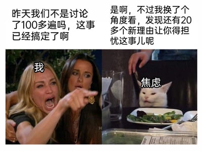 这是一张由经典梗图拼接改编的合成图，用来描绘被焦虑情绪反复侵扰的心理状态。图中左侧是被人从身后抱住、情绪崩溃嘶吼的女性，标注为“我”，配文“昨天我们不是讨论了100多遍吗，这事已经搞定了啊”，生动展现出当事人以为事情已经解决，不想再被困扰的崩溃与烦躁；右侧是坐在餐桌前的猫咪，标注为“焦虑”，配文“是啊，不过我换了个角度看，发现还有20多个新理由让你得担忧这事儿呢”，精准表现出焦虑情绪总能找到新的点来纠缠人的特点，用夸张的角色对比，戳中了很多人被焦虑反复折磨的共鸣点。