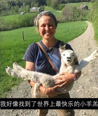 一位女子在绿意盎然的乡间小路上抱着一只四肢张开、表情看起来十分快乐的小羊羔，女子面带微笑，背景是广阔的草地和远处的农舍。图下方配有文字：'我好像找到了世界上最快乐的小羊羔'，整体画面温馨治愈，展现了人与动物间的美好互动。