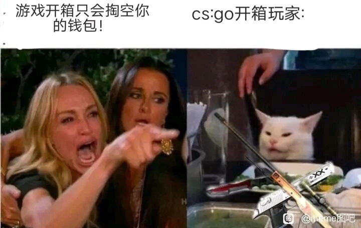 网红猫咪