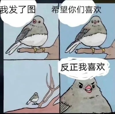 这是一幅四格连环卡通漫画，主角是一只灰腹灰背的小鸟。第一格中，小鸟站在粗壮的树枝上，开口说道“我发了图”；第二格，小鸟转向镜头，眼神带着期待，说出“希望你们喜欢”；第三格画面拉远，小鸟站在一根细小的树枝上，无对白，暗示其分享的内容可能未获得期待中的回应；第四格小鸟凑近镜头，皱眉瞪眼，表情坚定地说道“反正我喜欢”。漫画通过小鸟的状态转变和直白的台词，传递出分享内容后，即便未得到他人认可，也要保持自我接纳、自我认同的洒脱心态，风格幽默治愈，常被用作表情包来抒发这类情绪。