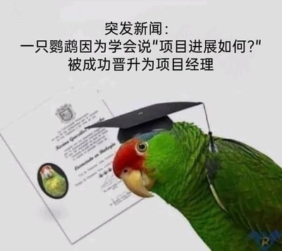 这是一张充满戏谑感的职场吐槽P图：一只绿红相间的鹦鹉戴着黑色学士帽，身旁摆放着一张印有它照片的证书，图上方配文「突发新闻：一只鹦鹉因为学会说'项目进展如何？'被成功晋升为项目经理」。

这张图用夸张的方式调侃了职场中对项目经理的刻板印象——仿佛有些项目经理的核心工作就是重复询问项目进度，讽刺了部分岗位看似专业，实则只需机械重复话术就能胜任的职场现状，搞笑又扎心。