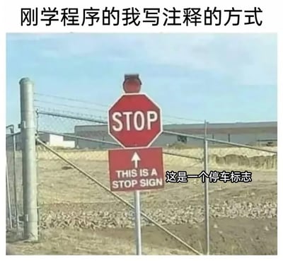 这是一张针对编程新手的自嘲类梗图，图中展示了一个户外的交通标志场景：上方是一个标准的红色八边形STOP停车标志，下方额外设置了一块红色标牌，标牌上用白色文字写着“THIS IS A STOP SIGN”，同时图的右下角配有中文翻译“这是一个停车标志”，图的顶部还有中文标题“刚学程序的我写注释的方式”。这张图用完全重复、没有额外有效信息的交通标志说明，来调侃编程初学者刚入门时，常常会给逻辑简单、一眼就能看懂的代码，写上毫无意义、只是重复代码功能的注释的常见行为，精准戳中了编程新手的入门误区，在程序员社群中很受欢迎。