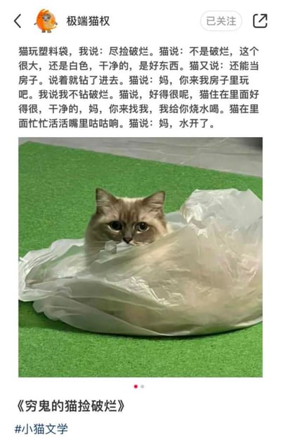 这是一张小红书平台的帖子截图，是小猫文学创始人@极端猫权发布的原创小猫文学内容。帖子上方是作品文字内容，讲述主人吐槽小猫捡塑料袋是捡破烂，小猫拟人化地反驳塑料袋是干净的好东西，可以当房子，邀请主人来玩还要给主人烧水，最后说水开了，文风质朴治愈；文字下方搭配实拍图，一只浅灰布偶猫将身体藏在白色塑料袋里，只露出脑袋睁着圆眼睛看向镜头；图片下方标注作品名《穷鬼的猫捡破烂》，附带#小猫文学话题标签。