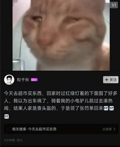 这张图片是一个社交媒体帖子截图，上方是一张猫咪的特写照片，猫咪表情看起来有些无奈和尴尬，眼睛半眯，脸颊圆润。下方是用户"和千秋"发布的一段趣事：骑小电驴路过红绿灯时看到有人围观，以为出车祸前去凑热闹，结果是交警在查头盔，最终领到罚单。猫咪的表情完美呼应了发帖人尴尬又无奈的心情，形成了幽默的对比效果。