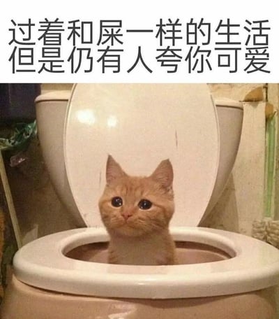 图片上方配有大字：“过着和屎一样的生活，但是仍有人夸你可爱”，下方是表情伤感可爱的橘猫坐在马桶里，整张图以荒诞、自嘲的方式表达了即使生活很糟依然会被喜欢和认可的想法。猫和厕所的反差幽默非常明显，属于典型的社交网络自嘲梗图。文字有双关和轻微暗示，但无谐音梗。