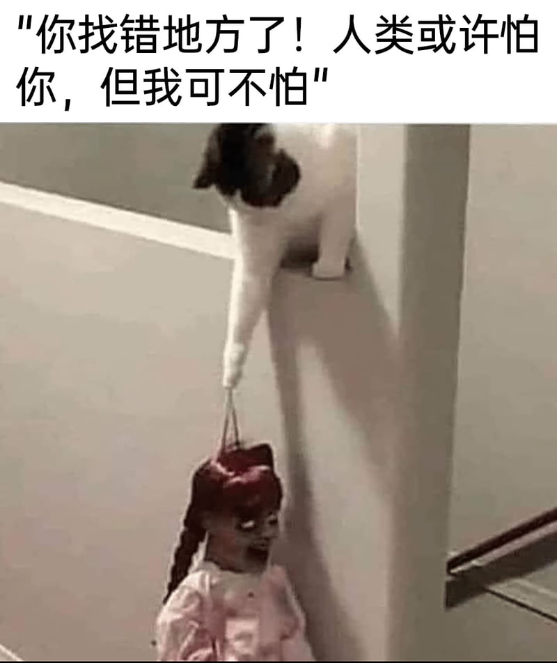 《安娜贝尔》系列恐怖电影
