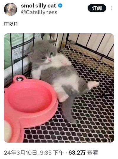 这是一张X平台（原推特）的社交媒体截图，认证账号“smol silly cat（@Catsillyness）”发布了该内容，配文仅为英文单词“man”。截图的主体是一只灰白相间的小奶猫，它以极具拟人感的放松姿势仰躺在宠物笼的网格底板上，身体完全摊开，一只前爪搭在旁边的粉色双格食碗边缘，眼神无辜，姿态慵懒又滑稽，尽显萌态。该动态发布于2024年3月10日21:35，截至截图时已有63.2万次查看量。