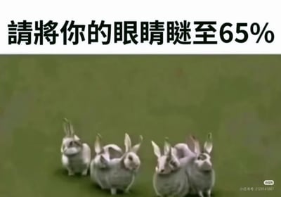 图片上方有黑色醒目文字“请将你的眼睛眯至65%”，下方为绿色背景上排列的数只白色兔子。设计意图是通过眯眼改变视觉感知，可能使兔子呈现出不同的视觉效果，整体风格轻松有趣，带有互动挑战性质。