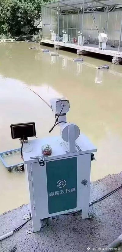 图片展示了一台名为“翘嘴云钓鱼”的白色设备，放置在水边的混凝土平台上。设备正面有绿色面板，上方装有显示屏、类似钓竿的延伸结构，旁边放有一个小罐子和一个浸入水中的蓝色篮子。背景是浑浊的水体，远处有金属材质的棚屋建筑，岸边有树木，整体呈现户外水边的场景。