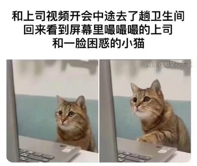 这张表情包由两张小猫面对电脑的图片拼贴组成，搭配上方文字，形象展现了远程办公中开视频会时中途离开后的尴尬情景。小猫困惑的表情和情境幽默巧妙结合，极具共鸣和可爱感。文字有强烈的职场生活气息，营造出一种“自己不在时，电脑前的猫成了主角”的自嘲氛围。

图片本身没有明显的谐音梗或暗示，主要通过猫咪表情和配文形成双关效果。