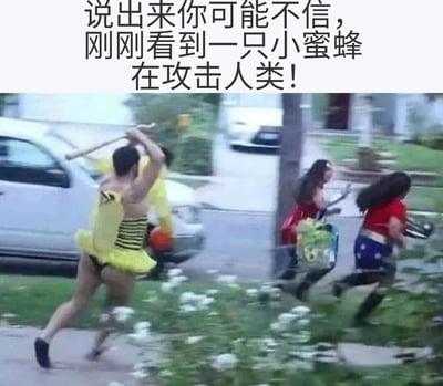 图片上方配有文字‘说出来你可能不信，刚刚看到一只小蜜蜂在攻击人类！’，下方是一张抓拍的照片：一名男子穿着黄色蜜蜂造型的服装（黑色条纹上衣和黄色短裙），双手高举棒球棒，正在追赶前方两名奔跑的女性。背景是居民区街道，有停放的汽车和绿植。整体营造出一种荒诞搞笑的反差感，文字与画面形成幽默呼应，通过‘小蜜蜂攻击人类’的夸张表述与实际男子扮演蜜蜂追赶人的场景形成喜剧效果。