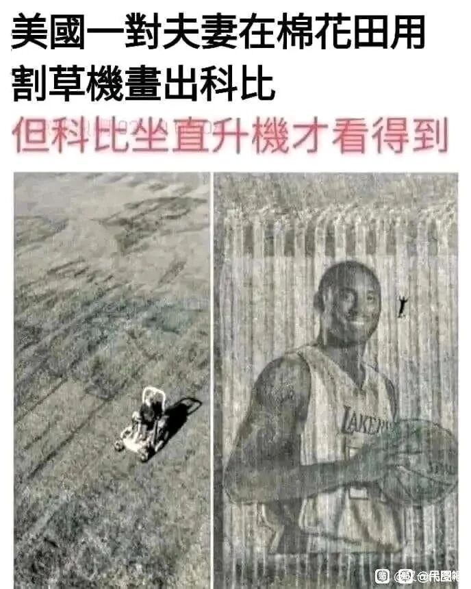 前美国职业篮球运动员