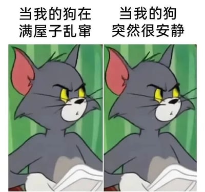 这是一张左右对比的梗图，左侧画面上方文字为“当我的狗在满屋子乱窜”，搭配汤姆猫（《猫和老鼠》角色）愤怒皱眉、眼神犀利的表情；右侧画面上方文字为“当我的狗突然很安静”，汤姆猫表情转为警惕，眉头紧锁但眼神多了几分怀疑。通过汤姆猫前后一致的坐姿和变化的神情，幽默展现了宠物主人面对狗狗两种极端行为时的典型心态——前者烦躁后者警惕，引发养宠人群共鸣。