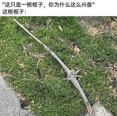这是一张充满趣味的梗图，上方配有文字“这只是一根棍子，你为什么这么兴奋”，下方展示了一根落在草地边缘的树枝。这根树枝的形态十分巧合，中间的分叉结构类似剑的护手，末端的断口部分酷似剑柄，整体外观与一把剑高度相似，完美回应了上方的调侃文字，解释了人们会对这根“棍子”感到兴奋的原因，通过日常自然物品的巧合形态制造出幽默的反差感。