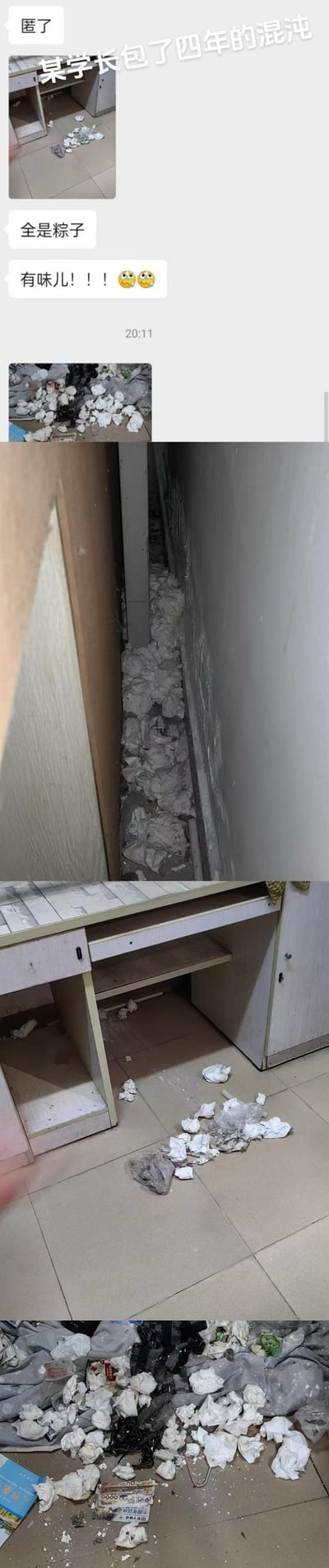 这是一组以聊天记录形式分享的宿舍实拍内容，展示了某大学学长毕业后留下的极度脏乱的宿舍：地面、柜子与墙壁的缝隙里堆满了大量纸团和未清理的垃圾，聊天配文调侃这是学长“包了四年的混沌”，还戏称“全是粽子”（疑似谐音调侃堆积的秽物），并强调现场有很重的异味，画面的脏乱程度令人震惊，凸显出该学长在校期间邋遢的生活习惯。