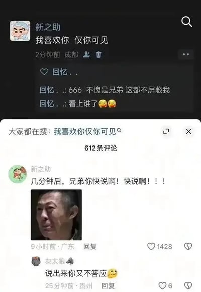 这是一张竖屏手机格式的社交媒体截图梗图，用户“新之助”发布了内容为“我喜欢你 仅你可见”的动态，IP属地标注为成都；评论区用户“回忆..”误以为这条动态是仅自己可见，兴奋地回复表示惊讶与好奇，随后“新之助”在评论区配上一张面露焦急的男性表情包，急切催促对方回应，用户“灰太狼”则补刀评论“说出来你又不答应😜”，整个内容围绕社交平台“仅你可见”功能制造了搞笑的乌龙误会，戳中了社交场景中的趣味乌龙点。