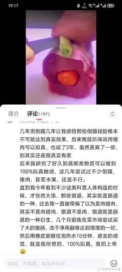 社交媒体截图，上方为视频截图显示有人用刀具处理卷成筒状的猪肠，下方为评论区，包含一段详细文字描述作者多年来尝试用倒膜硅胶、猪肉、水果等材料模拟真实触感的经历，最终发现通过处理猪肠可以达到100%拟真效果的感悟。