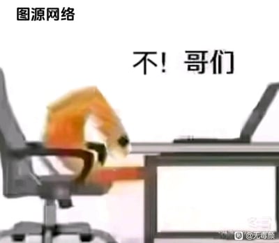 这是一张职场主题的衍生表情包，画面中熊猫头形象坐在办公椅上，面对桌上的笔记本电脑，身体大幅前倾、姿态模糊晃动，搭配文字“不！哥们”，生动还原了职场人看到电脑里的糟糕消息或突发状况时，崩溃、抗拒、不敢置信的强烈情绪，能够精准传递面对负面工作事件时的反应。