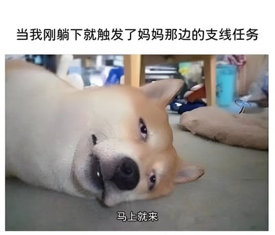 图片上方有文字'当我刚躺下就触发了妈妈那边的支线任务'，下方是一只表情无奈的狗躺在地上，配文'马上就来'。用游戏术语'支线任务'幽默地比喻妈妈突然安排的家务或事情，展现了年轻人在家中刚想休息就被妈妈叫去做事的无奈又好笑的场景。