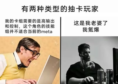 图中分为左右两部分，调侃抽卡游戏玩家常见的两大类型：一边是理性分析游戏机制、重视卡组搭配和实力的“meta党”；另一边则是只要角色好看、直接称其为“老婆”并满足于抽到喜欢角色的“真爱党”。整体用对比的方式展现不同抽卡玩家的心态，有明显的搞笑、极端化和自嘲氛围。

本图暗含“老婆”即为喜欢角色、无条件喜欢的配卡喜好，是二次元和手游圈常见用语，带轻微的双关意味。