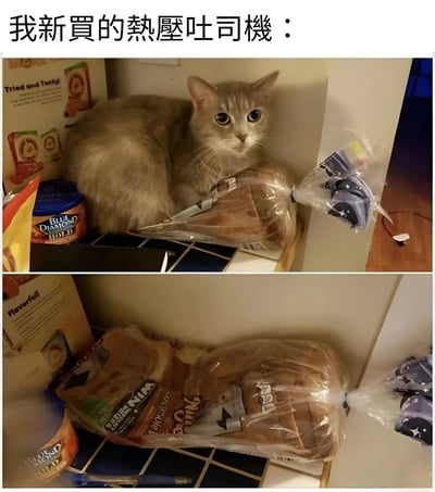 这是一张上下对比的搞笑图片，上方图片中一只灰色猫咪正趴在一袋面包上，表情惊讶地看向镜头；下方图片中猫咪已经完全钻进了面包袋，只露出被压扁的面包形状。图片上方配有文字"我新買的熱壓吐司機 :"，用猫咪压瘪面包的场景幽默地将猫咪比作热压吐司机。