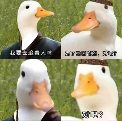 这是一张四格P图拼接的搞笑表情包，创作者将鸭子头部与人物身体拼接，构建出趣味对话场景：左上的黑衣鸭子摆出嚣张姿态放话“我要去追着人啃”，右上戴花头巾的鸭子直接戳穿其真实目的“为了抢口吃的，对吧？”，左下的黑衣鸭子被戳穿后表情扭曲、神态崩溃，右下的花头巾鸭子继续步步紧逼追问“对吧？”。通过鸭子夸张的表情变化与对话的反差感，生动调侃了那些嘴硬找冠冕堂皇的借口，实则是为了微小利益的行为，充满诙谐感。