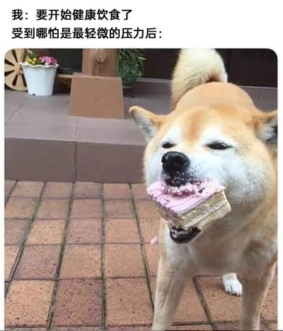 暂无描述