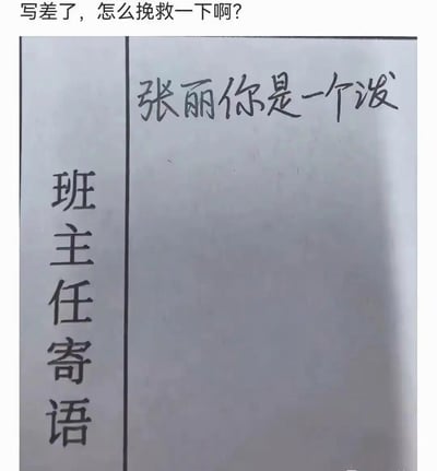 这张图片拍摄的是班主任寄语册的内页，页面左侧竖排印刷有“班主任寄语”字样，右侧空白区域的手写评语仅写了开头“张丽你是一个泼”就停笔，推测原本想要写褒义词“活泼”，但仅写“泼”字容易让人联想到贬义表述，陷入写不下去的尴尬境地，图片顶部配文“写差了，怎么挽救一下啊？”，是发布者求助网友给出补救方案的搞笑内容，充满充满生活感的尴尬趣味。