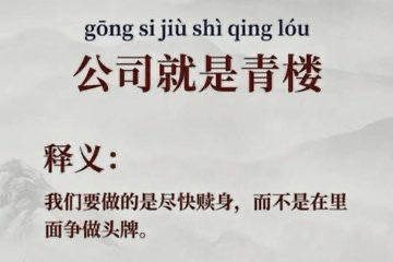 图片上方为拼音“gōng sī jiù shì qīng lóu”，下方是加粗中文“公司就是青楼”，再下为“释义：我们要做的是尽快赎身，而不是在里面争做头牌。”整体以灰色背景呈现，通过将“公司”比喻为“青楼”，表达了一种对职场的调侃观点，即建议尽快脱离当前环境，而非在其中竞争所谓的“头牌”地位。