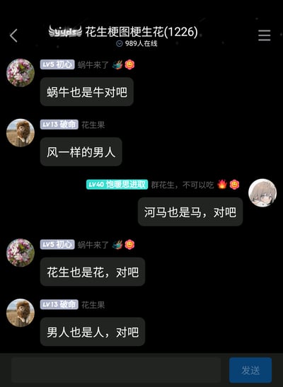 这是一张竖屏格式的聊天群截图，群名称为“花生梗图梗生花(1226)”，显示当前有989人在线。群内三位成员围绕名称的字面意思进行趣味玩梗：成员“蜗牛来了”首先抛出“蜗牛也是牛对吧”的强行归类发言，成员“饱暖思进取”随即接梗“河马也是马，对吧”，“蜗牛来了”又延伸出“花生也是花，对吧”；成员“花生果”先是发言“风一样的男人”，最后以“男人也是人，对吧”的无厘头发言收尾，此外“饱暖思进取”还发了“群花生，不可以吃 🔥😜”的趣味吐槽，整体对话充满无厘头的搞笑感，是群友间轻松的玩梗互动。