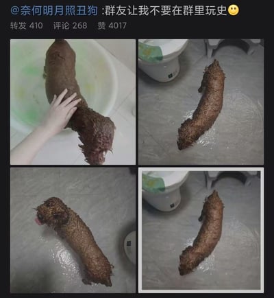 这是一张微博截图，内容为用户@奈何明月照丑狗 发布的四张实拍照片拼接图。图片中展示了一只全身沾满深棕色泥巴的小狗，分别处于浴缸中被人用手抚摸、趴在浴室瓷砖地面（靠近马桶）、舌头外露趴在地上以及再次靠近马桶旁的场景。配文“群友让我不要在群里玩史😃”中的“玩史”是谐音梗，暗指小狗沾满泥巴的样子酷似粪便，因此被群友调侃不要在群里发此类“重口味”内容，整体营造出幽默搞笑的氛围。