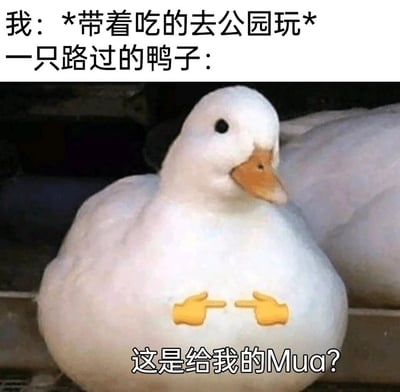 这是一张经过P图改编的趣味表情包，上方文字设定场景为“我带着吃的去公园游玩”，主体是一只圆滚滚的白色胖鸭子，它的腹部被添加了两个指向自己的黄色手势emoji，下方配文“这是给我的Mua？”，创作者将语气词“吗”谐音为软萌的“Mua”，模拟小鸭子看到食物后，用天真讨喜的语气向人讨要食物的心理活动，整体风格软萌搞笑，生动展现出动物讨要食物时的可爱模样，适合用于日常聊天中表达期待、讨要东西的软萌情绪。
