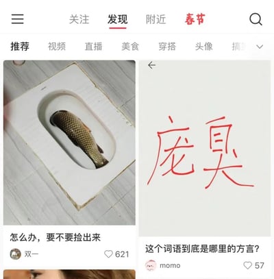 这是一张生活分享类社交平台（界面风格类似小红书）的「发现」页面截图，页面顶部设有「关注、发现、附近、春节」导航栏，下方分栏展示两条用户发布的趣味内容帖子。左侧帖子由用户「双一」发布，内容为一张卫生间实拍图，一条鱼恰好卡在蹲便器的坑位中，配文「怎么办，要不要捡出来」，该帖子获得621个点赞，呈现了生活中突发的搞笑窘境；右侧帖子由用户「momo」发布，内容为一张手写拆字图，将「臭」字拆分为「自」「大」与「庞」字组合，形成视觉上的「庞臭」，配文「这个词语到底是哪里的方言？」，该帖子获得57个点赞，发起关于方言词汇的讨论。
