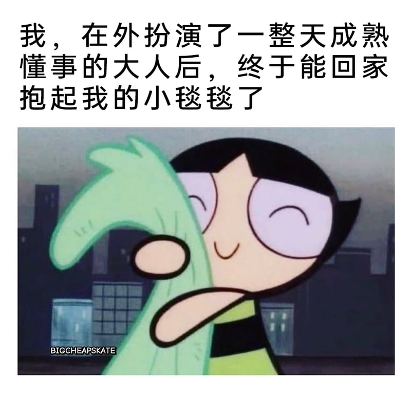 毛毛