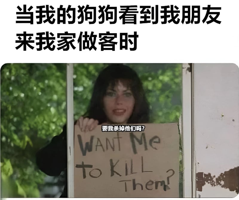 希德姐妹帮