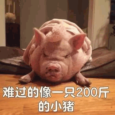 难过的像一只200斤的小猪