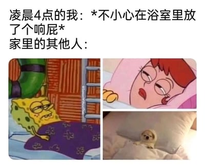 这是一张搞笑的图文混排梗图，上方用文字构建了一个生活化的尴尬场景：凌晨4点，“我”不小心在浴室里放了一个响屁。下方通过三张不同来源的图片，分别展示了家里其他人被打扰后的反应：左侧是动画《海绵宝宝》里的海绵宝宝，躺在床上，半眯着眼，露出嫌弃又无奈的神情；右上角是动画《飞出个未来》里的莫妮卡，眼睛半睁，满脸嫌弃地躺在床上；右下角是一只真实的小狗，皱着眉头，一脸嫌弃地趴在枕头上。三张图的表情高度一致，精准还原了深夜被突然的声响和气味打扰后的真实反应，通过跨IP的表情包拼接，放大了场景的幽默效果，让人感同身受。