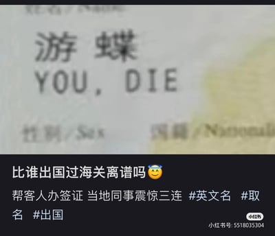 这是一张分享工作趣事的社交媒体截图，内容是帮客人办理签证时，客人的中文名字“游蝶”被直译成英文“YOU, DIE”，英文含义为“你，死了”，这种离谱的音译在出国过海关时会造成非常尴尬的场面。配文表示当地同事看到后震惊三连，玩了中文名字谐音英文的搞笑梗。
谐音梗说明：“游蝶”的拼音“Yóu Dié”被生硬音译为“YOU, DIE”，英文语义带有负面且突兀的含义，形成强烈的反差搞笑效果。