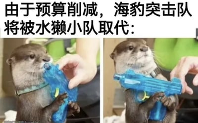 这是一张幽默搞笑的左右对比图，上方配有文字'由于预算削减，海豹突击队将被水獭小队取代：'。左侧图片中一只水獭正被人递给一把蓝色玩具枪，右侧图片中这只水獭已经双手握住了玩具枪，表情认真，仿佛真的在执行任务。通过将严肃的军事概念与可爱的动物和玩具武器结合，创造出强烈的反差萌和幽默感，调侃了预算削减可能导致的荒谬情况。