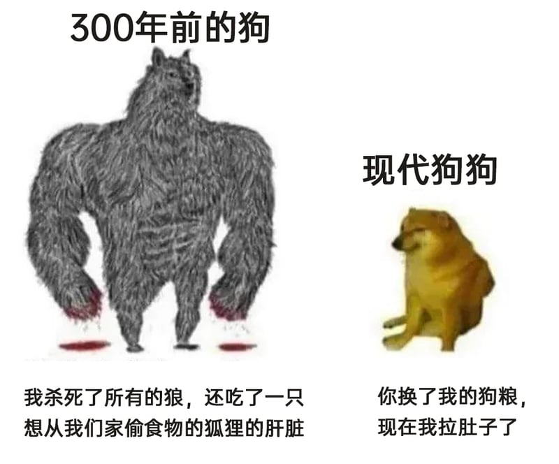 网络经典梗图