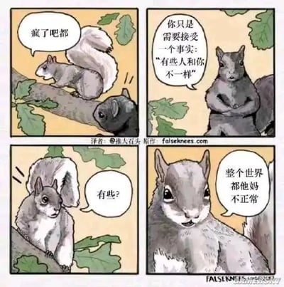 这是一幅四格连环卡通漫画，以两只松鼠为角色展开对话，通过反差感制造幽默吐槽效果。第一格中，灰松鼠站在树枝上，对着身旁的黑松鼠烦躁地吐槽“疯了吧都”，表现出对周遭的不满；第二格中，黑松鼠抱臂而立，以劝解的姿态让灰松鼠接受“有些人和你不一样”的事实；第三格中，灰松鼠露出疑惑的表情，重复“有些？”，对黑松鼠的观点提出质疑；第四格中，灰松鼠凑近镜头，表情愤怒地喊出“整个世界都他妈不正常”，没有按照常规逻辑妥协，反而将不满升级为对整个环境的否定，用反向吐槽的方式戳中情绪共鸣点。