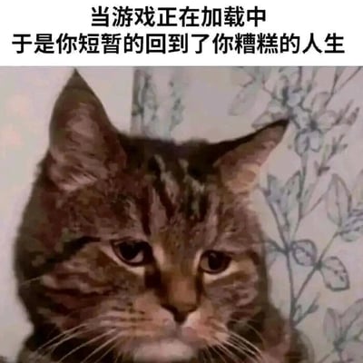 这是一张图文结合的静态单图梗图，上方配有两行文字“当游戏正在加载中 于是你短暂的回到了你糟糕的人生”，下方是一只神情沮丧的狸花猫，它眉眼耷拉，眼神黯淡，满脸失落的表情完美呼应了文字所表达的情绪。这张图精准戳中了很多玩家的痛点：游戏是他们逃离现实不如意的精神慰藉，而在游戏加载的短暂间隙，他们不得不从游戏的快乐中抽离，直面现实生活的糟糕，从而产生强烈的失落感，用猫咪的丧系表情放大了这种情绪共鸣，是一种对现实生活的自嘲式调侃。