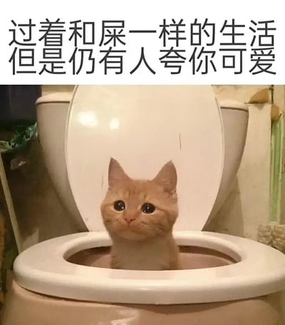 图片上方有黑色文字“过着和屎一样的生活但是仍有人夸你可爱”，下方是一张照片：一只橘色猫咪坐在白色马桶的 bowl 里，马桶盖呈打开状态，猫咪抬头睁着大眼睛，表情无辜。文字的自嘲与猫咪的可爱形象形成反差萌，传递出一种虽然生活不如意但依然被喜爱的幽默治愈感。
