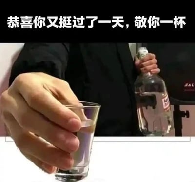 这是一张顶配底文图，上方黑色背景区域配有白色文字“恭喜你又挺过了一天，敬你一杯”；画面主体是一位身着黑色衣服的人，其脸部未出现在画面中，一只手举着装有透明液体的玻璃杯递向镜头，另一只手握着一瓶还剩余部分透明液体的酒瓶。整体内容以一种带有自嘲感的方式，表达了对熬过疲惫一天的自我慰藉，用饮酒的动作来传递释放日常压力的情绪，十分贴合当代人在忙碌工作或生活后的心境，适合用来和朋友、同事互相调侃，慰藉彼此的辛苦。